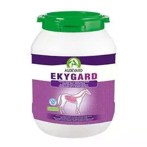 AUDEVARD EKYGARD leczenie wrzodów żołądka - Cavalo